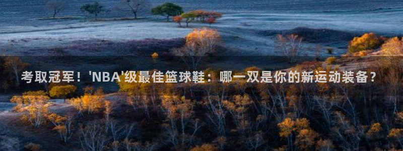 沐鸣二娱乐登录：考取冠军！\'NBA\'级最佳篮球鞋：哪一双是你的新运动装备？