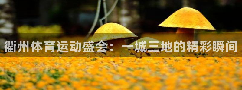 沐鸣2创业历程：衢州体育运动盛会：一城三地的精彩瞬间