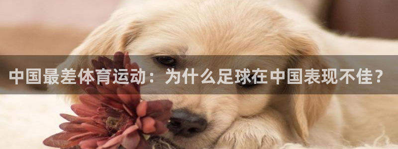 沐鸣2体育3在线注册：中国最差体育运动：为什么足球在中国表现不佳？