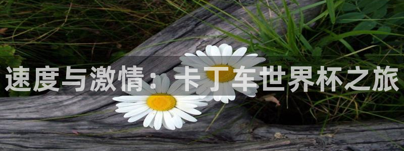 沐鸣2平台总代理：速度与激情：卡丁车世界杯之旅