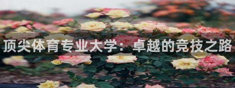 沐鸣2平台注册入口：顶尖体育专业大学：卓越的竞技之路