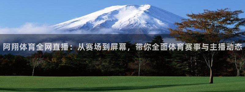 919直播足球