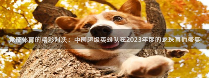 免费足球比赛直播高清