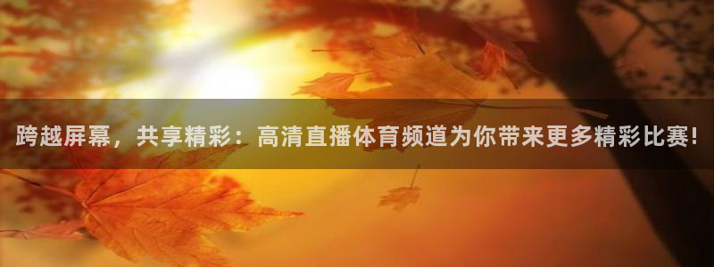 jrs直播低调看篮球直播：跨越屏幕，共享精彩：高清直播体育频道为你带来更多精彩比赛!