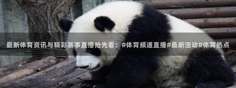 jrs直播低调看直播：最新体育资讯与精彩赛事直播抢先看：#体育频道直播#最新活动#体育热点