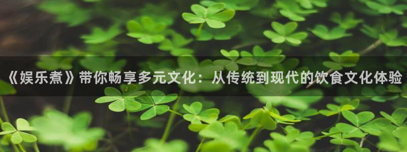 星欧娱乐入口：《娱乐煮》带你畅享多元文化：从传统到现代的饮食文化体验