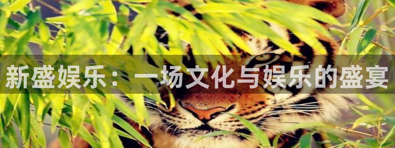 星欧娱乐入口：新盛娱乐：一场文化与娱乐的盛宴