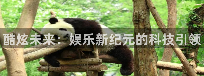 xo星欧娱乐官方：酷炫未来：娱乐新纪元的科技引领
