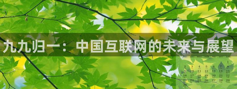 星欧娱乐注册链接：九九归一：中国互联网的未来与展望