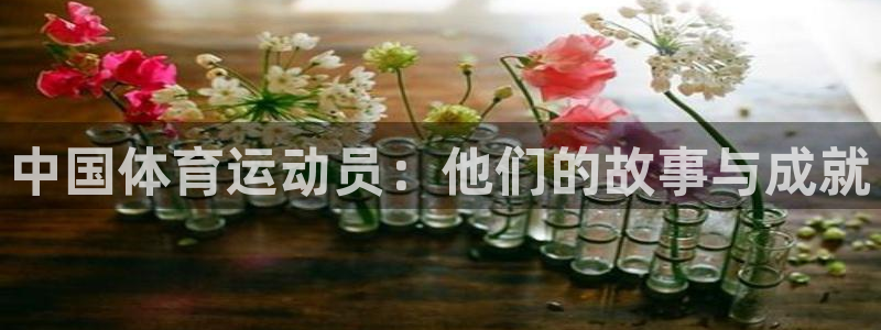 沐鸣2平台官网：中国体育运动员：他们的故事与成就