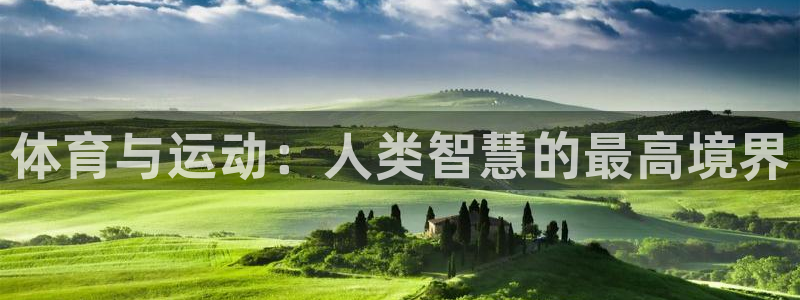 上海沐鸣2汽车电子有限公司：体育与运动：人类智慧的最高境界