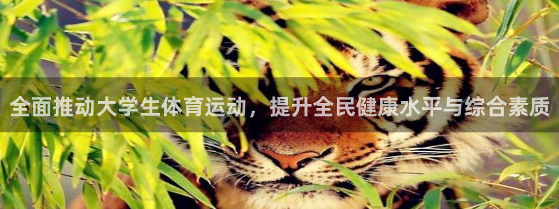 ii博导登录入口：全面推动大学生体育运动，提升全民健康水平与综合素质