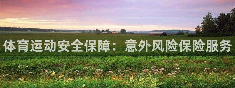 沐鸣23注册：体育运动安全保障：意外风险保险服务