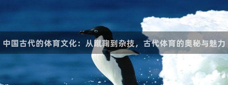 沐鸣2娱乐主管：中国古代的体育文化：从蹴鞠到杂技，古代体育的奥秘与魅力
