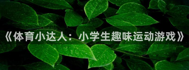 沐鸣2体育免费注册入口：《体育小达人：小学生趣味运动游戏》