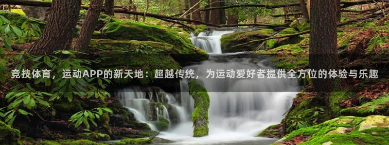 沐鸣2零能源集团：竞技体育，运动APP的新天地：超越传统，为运动爱好者提供全方位的体验与乐趣