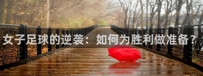 小9乐悠直播体育免费直播