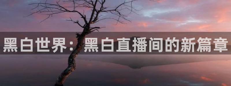 live电视直播tv版
