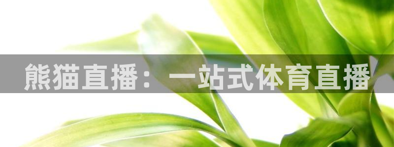 二十四小时足球直播