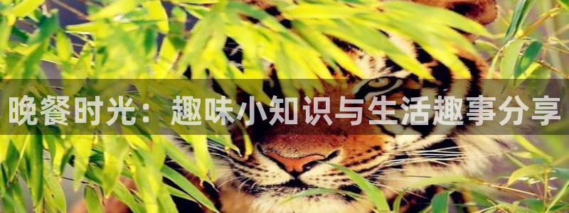 星欧娱乐登录：晚餐时光：趣味小知识与生活趣事分享