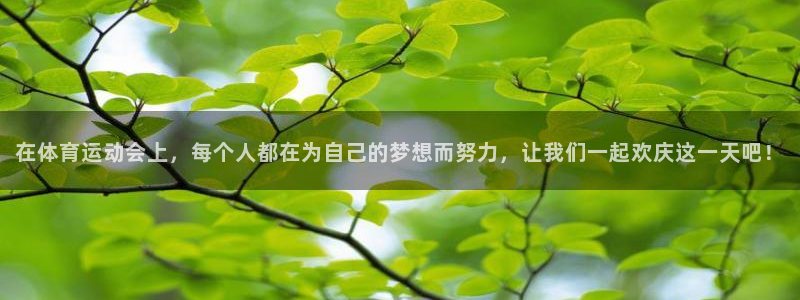 东莞市沐鸣2电子科技有限公司：在体育运动会上，每个人都在为自己的梦想而努力，让我们一起欢庆这一天吧！